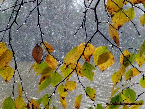 Осенняя песенка Автор А. Плещеев Миновало лето, осень наступила. На полях и в рощах пусто и уныло .....
