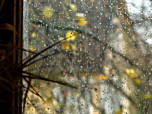 Грустные стихи про осень, дождь 