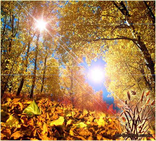 Стихи про осень. Осенняя погода непонятна, Уже пугала осень нас зимой ... Автор Л. Капленкова