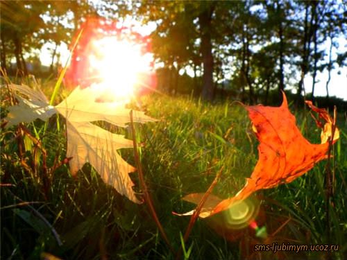 Бабье лето. Осенний листопад. Красивые стихи про осень.