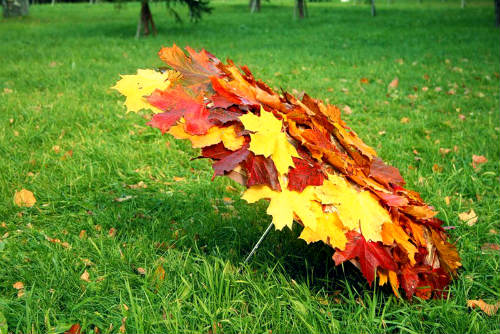 Осень-швея. Чтоб крошка земля без хлопот зимовала .. Автор Т. Гусарова