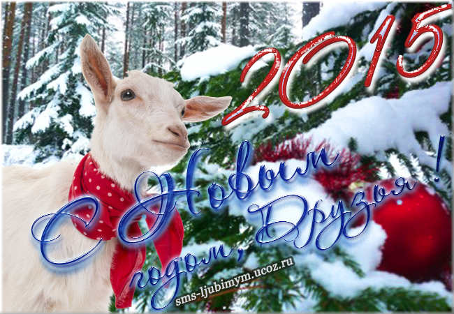 Поздравления Друзьям С 2015 Новым годом Козы/Овцы