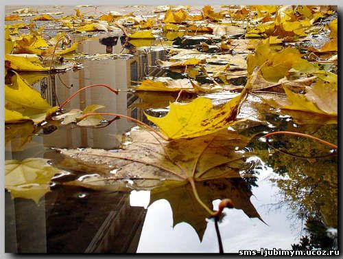 Осенняя пора - красивые стихи про осень 